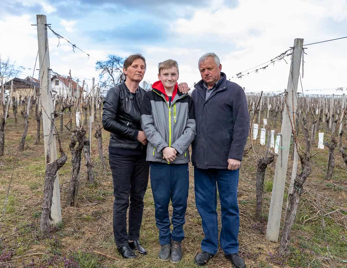 Vina Knehtl - Medenjak