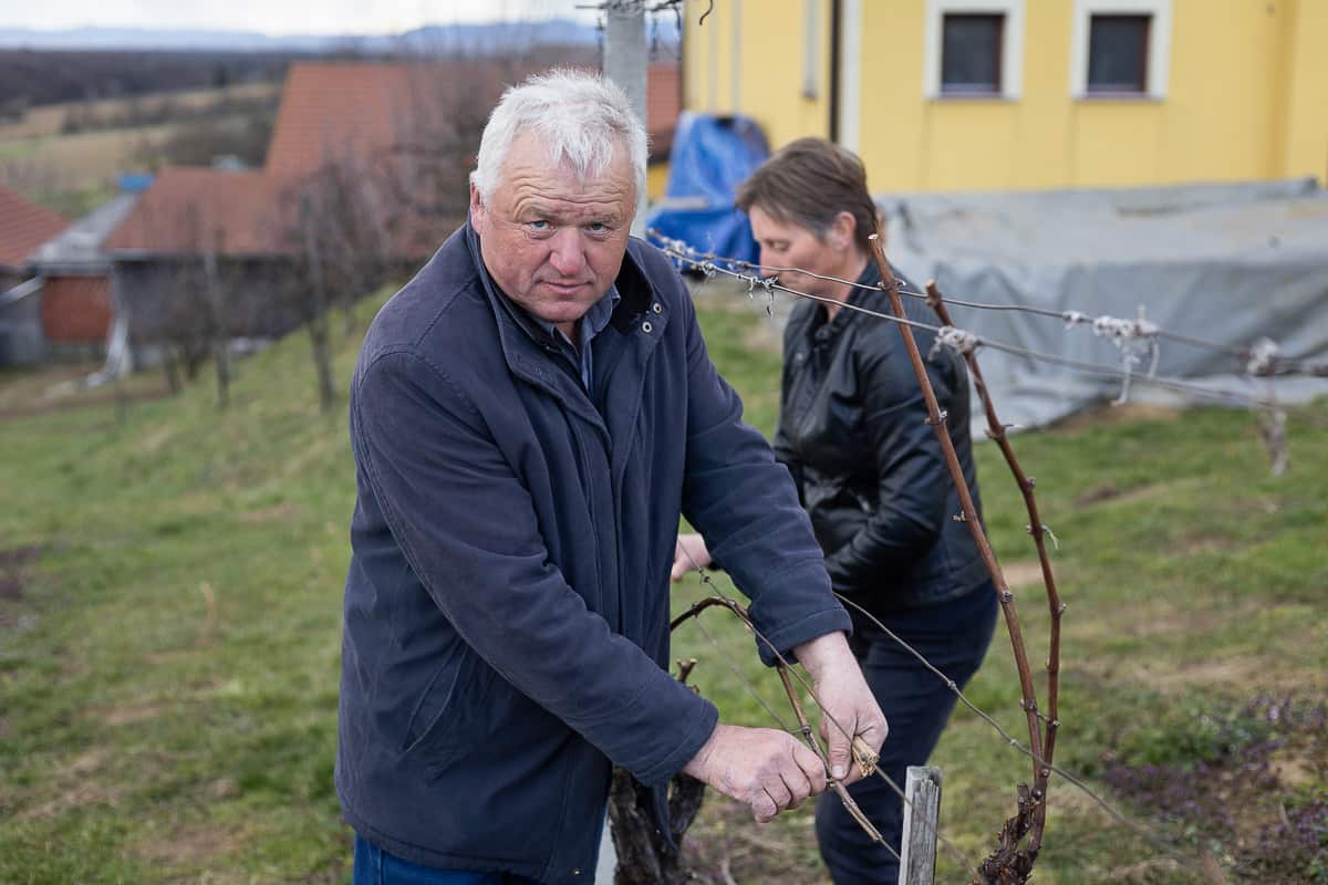 Vina Knehtl - Medenjak