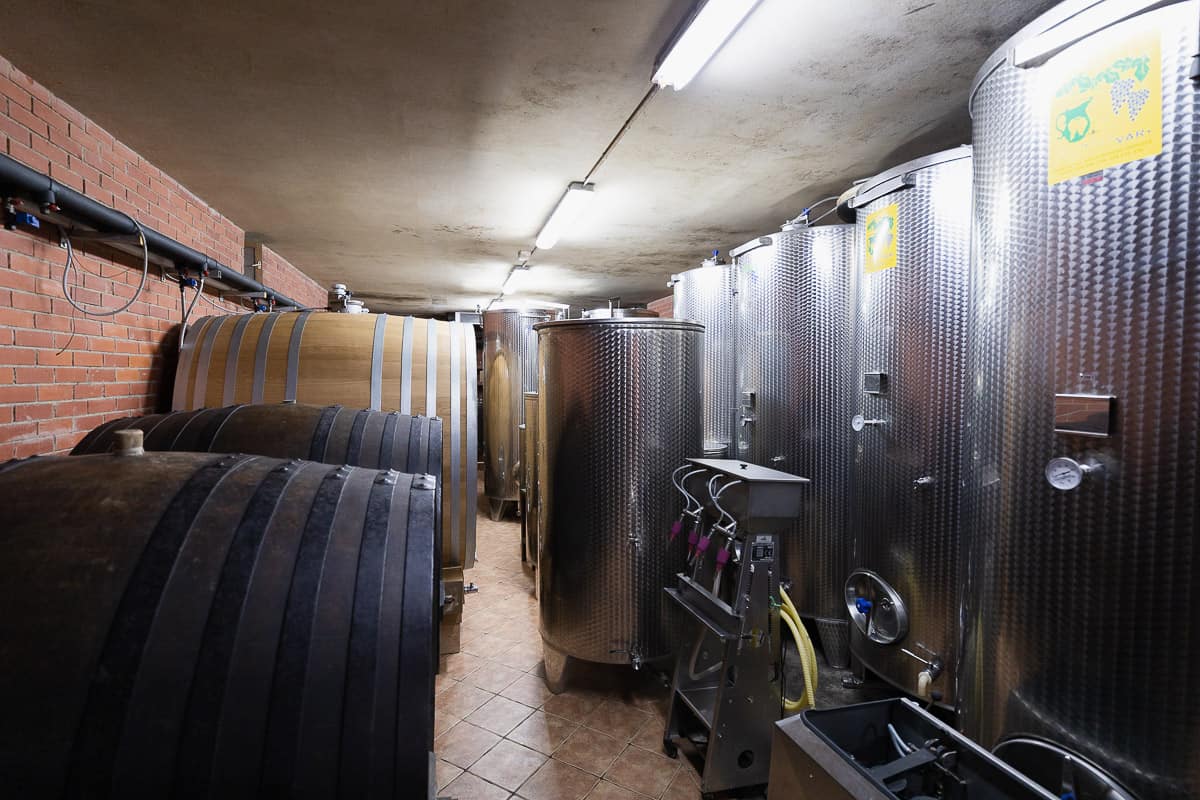 Vina Knehtl - Medenjak