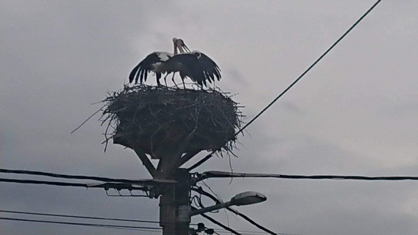 Đurek i Katica otjerali okupatore Đurek i Katica otjerali okupatore