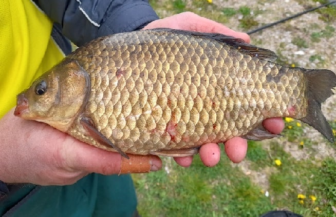 Organizirane čak dvije Međimurske Feeder lige Organizirane čak dvije Međimurske Feeder lige