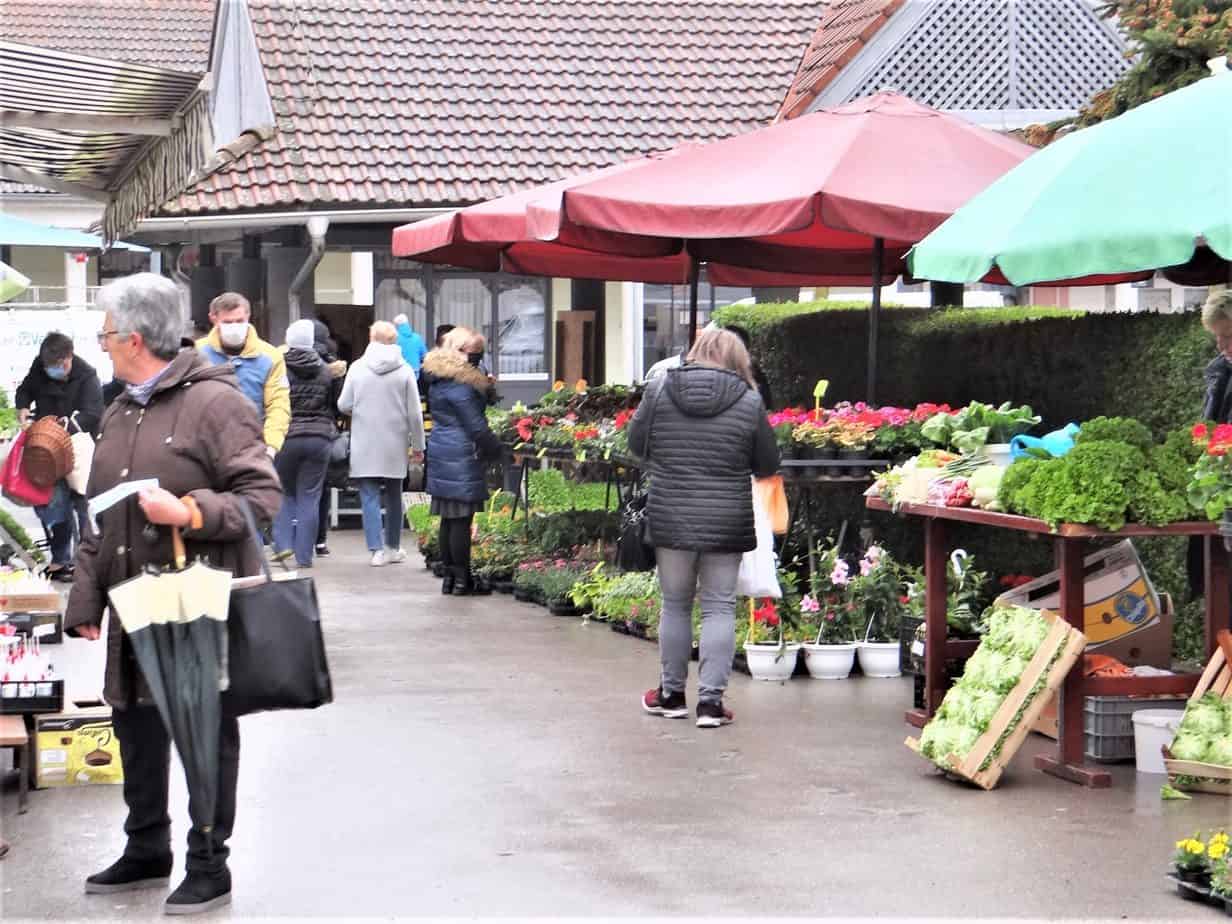 Zelenilo preplavilo preloški plac, ali kiša otjerala kupce Zelenilo preplavilo preloški plac, ali kiša otjerala kupce