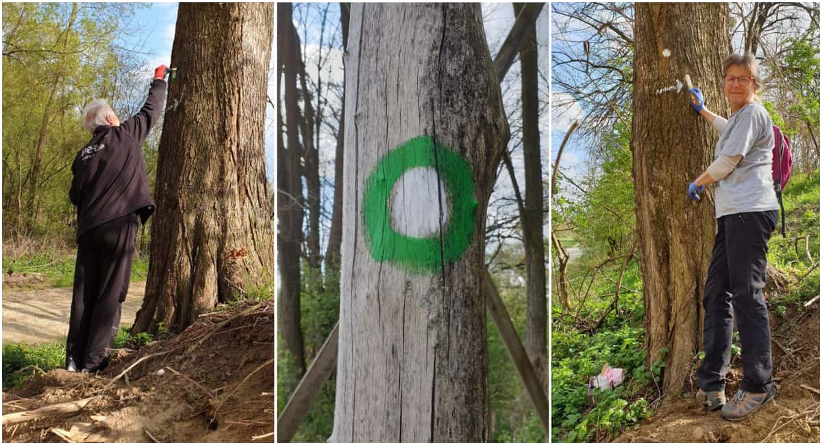 Markirana šetnica u Murskom Središću Markirana šetnica u Murskom Središću