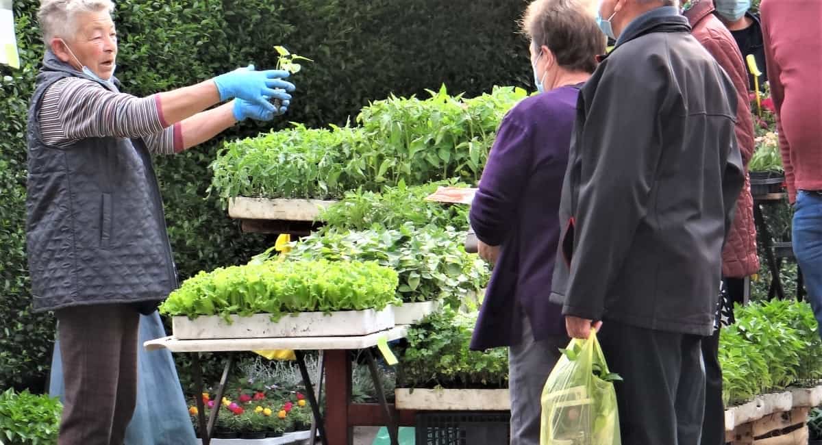 Neljubazni prodavač sličan svojim ribama! Neljubazni prodavač sličan svojim ribama!