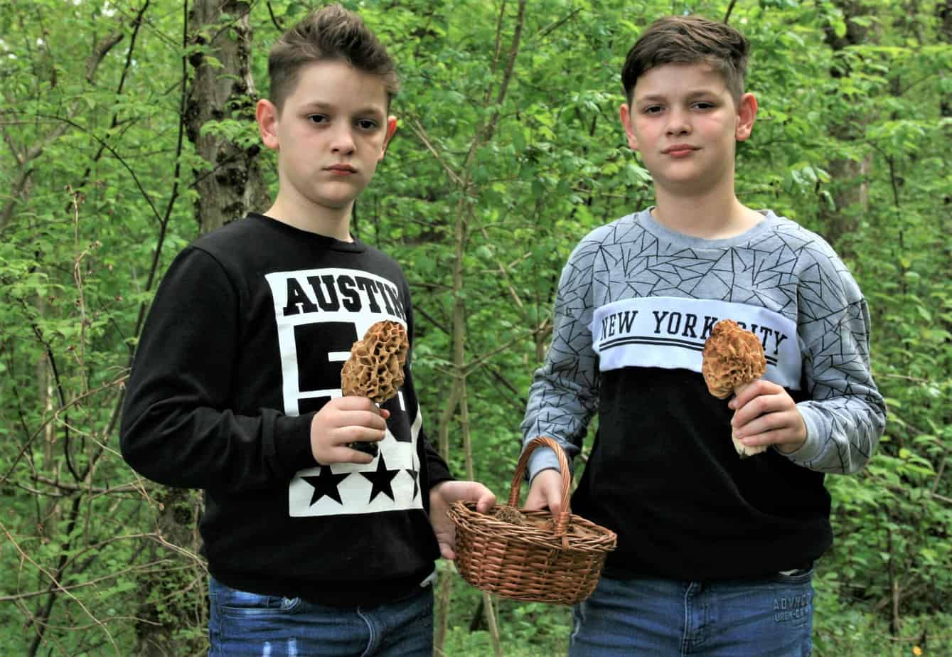 Mladi gljivari pronašli smrčke na kojima bi im pozavidjeli i mnogo veći majstori Mladi gljivari pronašli smrčke na kojima bi im pozavidjeli i mnogo veći majstori