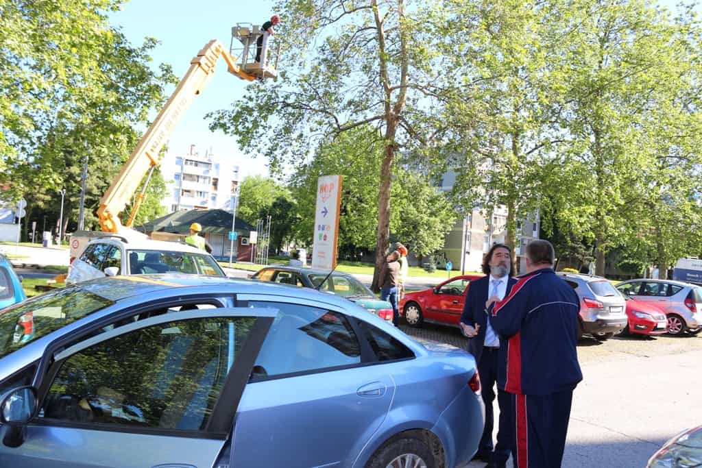 Gnijezda vrana miču se iz Krležine ulice Gnijezda vrana miču se iz Krležine ulice