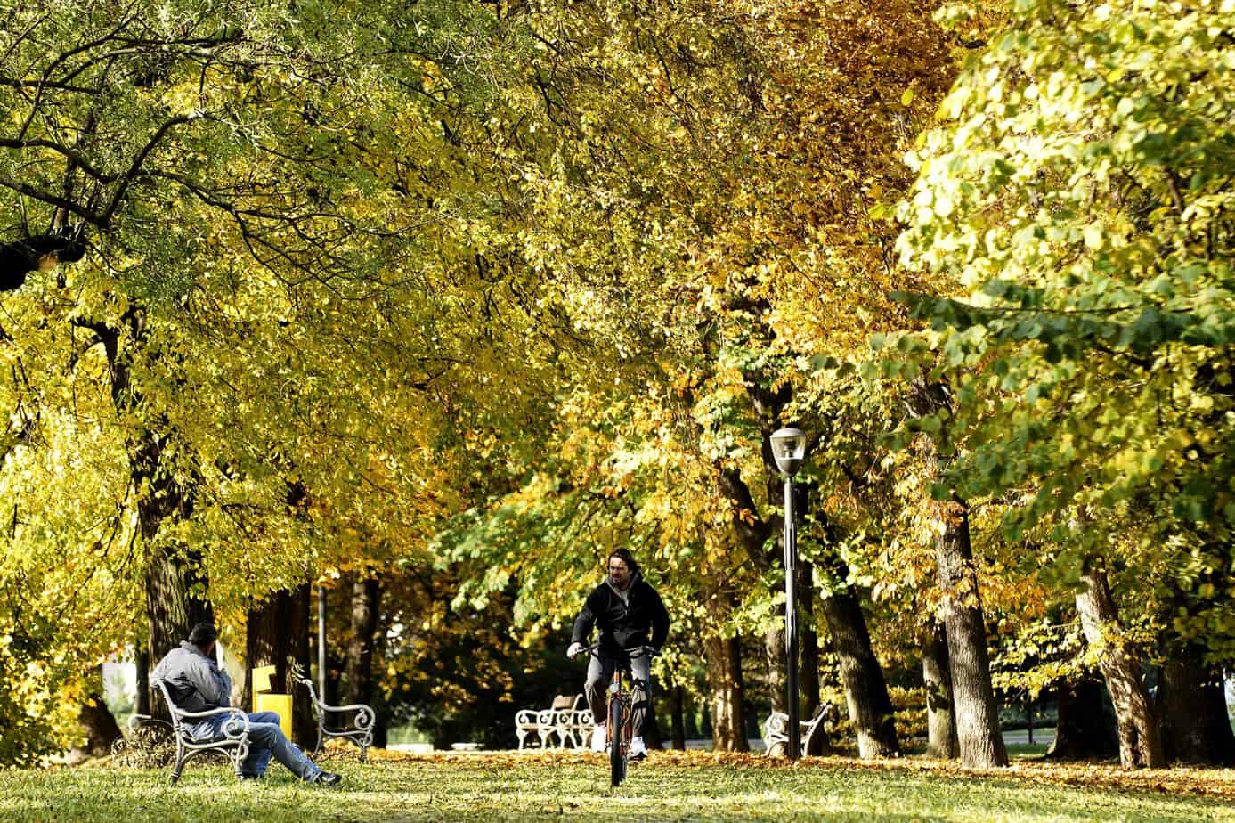 Večeras javna tribina o revitalizaciji Perivoja Zrinskih Večeras javna tribina o revitalizaciji Perivoja Zrinskih