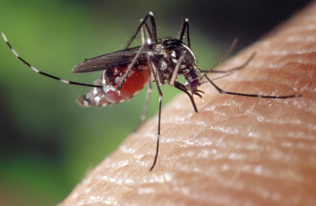 Tretiranje komaraca na području Grada Čakovca Tretiranje komaraca na području Grada Čakovca