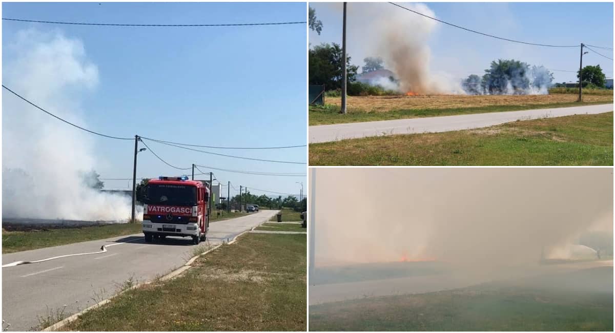 Netko je palio suhu travu na livadi, vatra se proširila i sada sve moraju rješavati vatrogasci Netko je palio suhu travu na livadi, vatra se proširila i sada sve moraju rješavati vatrogasci