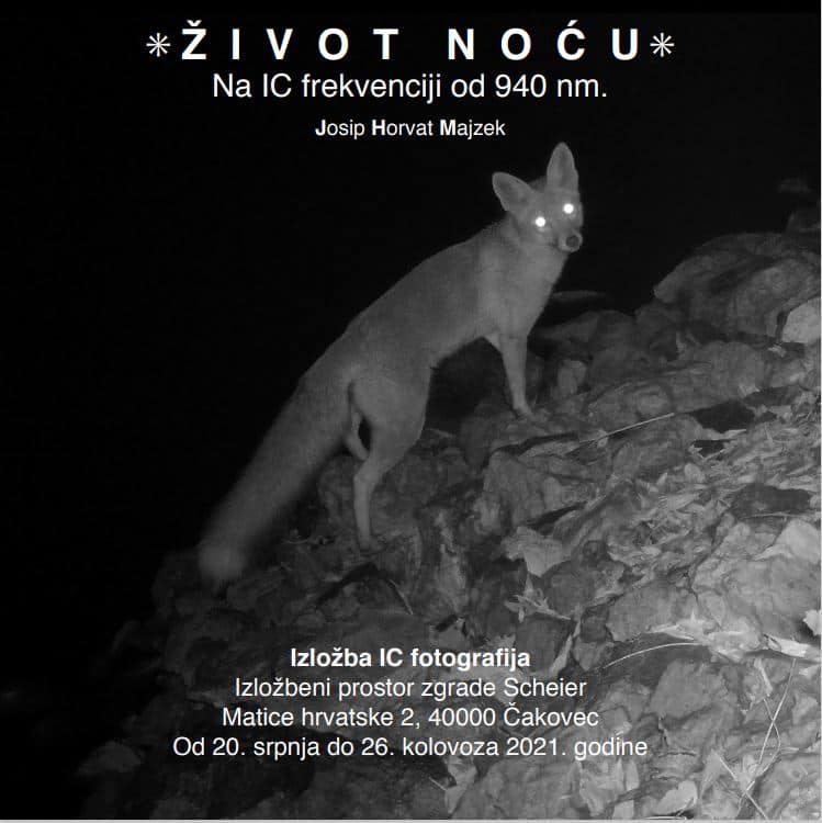 Život noću