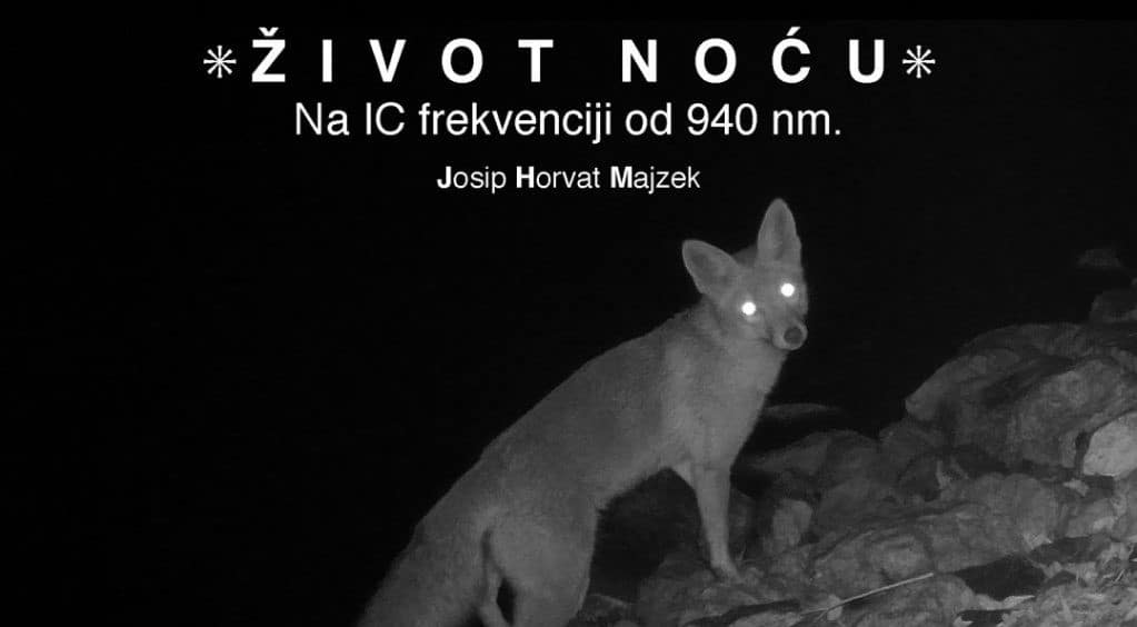 majzekdrustvo