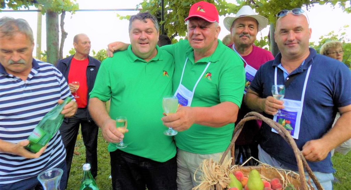 Imat ćemo berbu kao u stara dobra vremena! Imat ćemo berbu kao u stara dobra vremena!