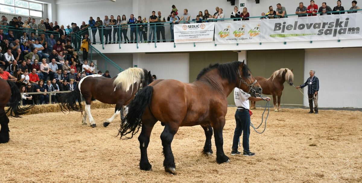 Općina Mala Subotica organizira posjet 28. jesenskom sajmu u Gudovcu Općina Mala Subotica organizira posjet 28. jesenskom sajmu u Gudovcu