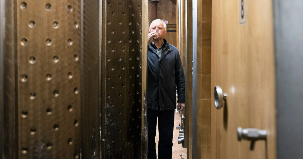 Vinogradari, dođite u ponedjeljak na Dan vinograda kod obitelji Knehtl-Medenjak! Vinogradari, dođite u ponedjeljak na Dan vinograda kod obitelji Knehtl-Medenjak!