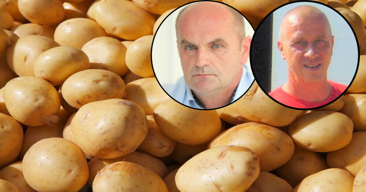 Moramo zvleči s polja 10.000 tona krumpira, a skladišta nemamo! Moramo zvleči s polja 10.000 tona krumpira, a skladišta nemamo!