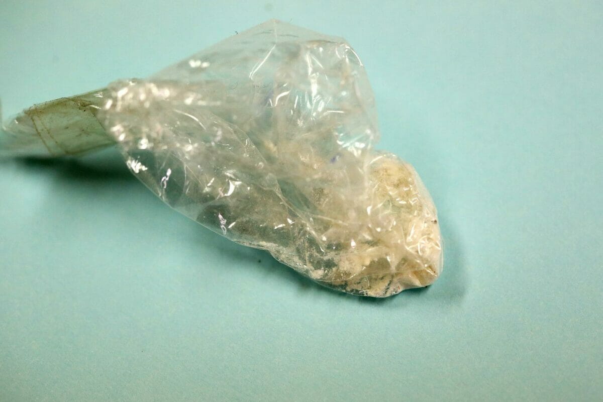 Tijekom Forestlanda policija zabilježila 36 zapljena droge! Marko Mrkonjic/PIXSELL