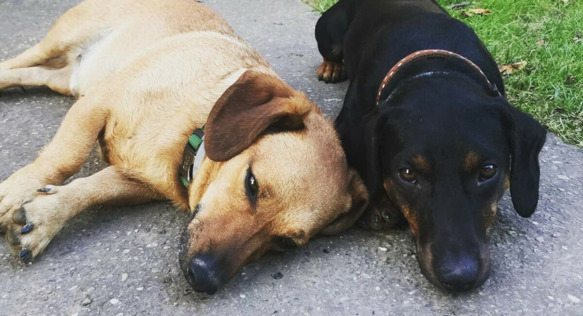 Instagram zvijezde iz Kopra preselile u Križovec Instagram zvijezde iz Kopra preselile u Križovec