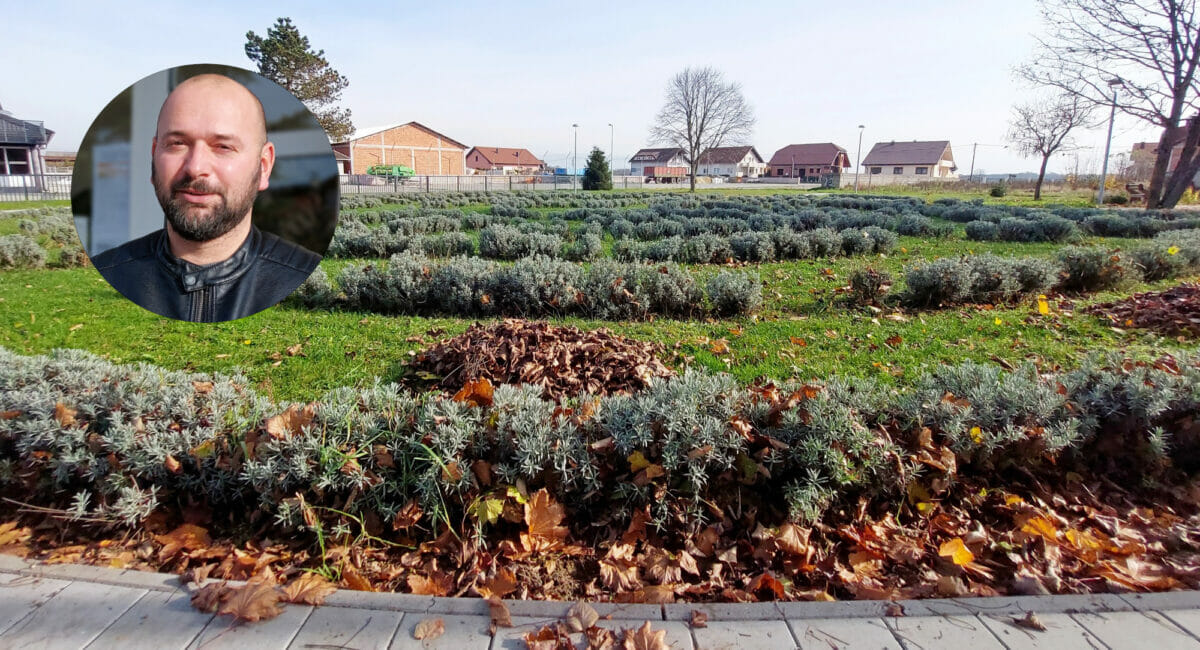 FOTO Nekad livada za sjeno za stoku, a danas centralni gradski park FOTO Nekad livada za sjeno za stoku, a danas centralni gradski park