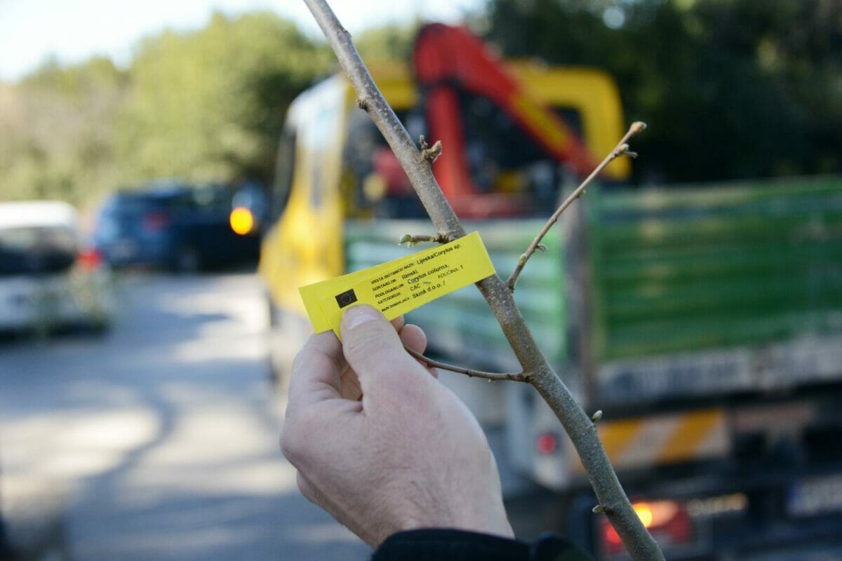 Nepoznati lopov ‘opustošio’ voćnjak u Zasadbregu Sasa Miljevic/PIXSELL