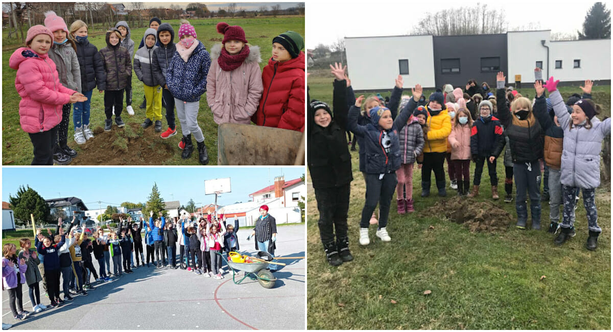 Sadnice iz donacije roditelja, a sadnja iz ljubavi prema prirodi Sadnice iz donacije roditelja, a sadnja iz ljubavi prema prirodi