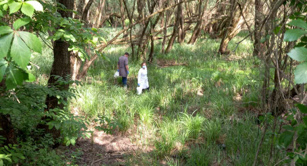 Ponovo provedeno tretiranje larvi komaraca Ponovo provedeno tretiranje larvi komaraca