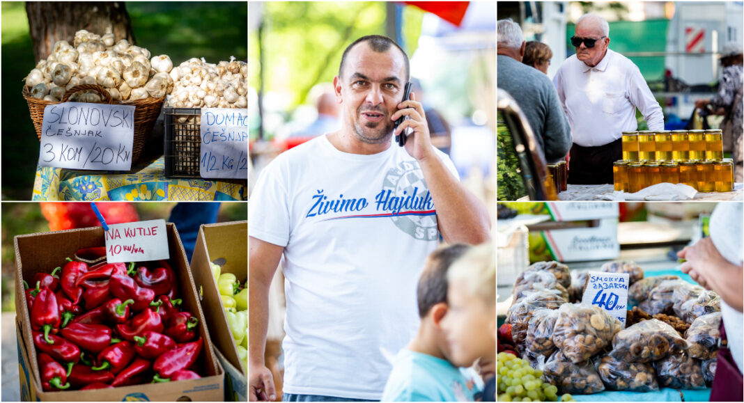 FOTO “Zasmrdio” češnjak: slonovski 3 komada 20 kuna, običan 40 kuna kilogram! FOTO “Zasmrdio” češnjak: slonovski 3 komada 20 kuna, običan 40 kuna kilogram!