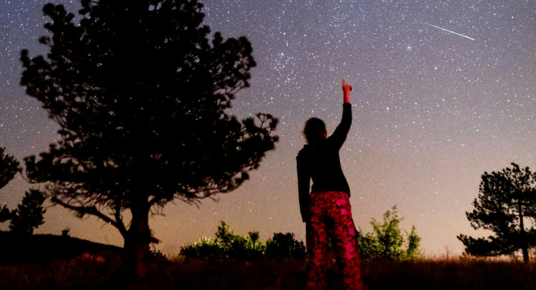 Miroslav Lelas/PIXSELL