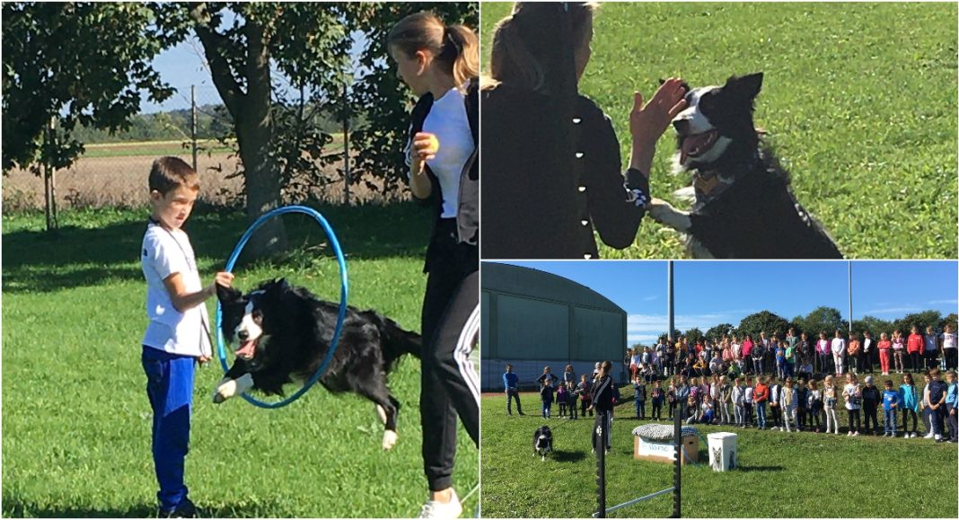 FOTO Pas Tesla razveselio učenike u Osnovnoj školi Tomaša Goričanca Mala Subotica FOTO Pas Tesla razveselio učenike u Osnovnoj školi Tomaša Goričanca Mala Subotica