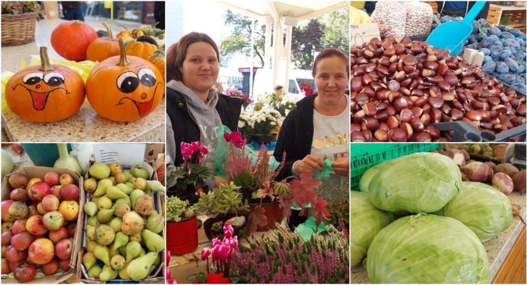 FOTO Kesteni i jesensko cvijeće glavne zvijezde čakovečke tržnice FOTO Kesteni i jesensko cvijeće glavne zvijezde čakovečke tržnice