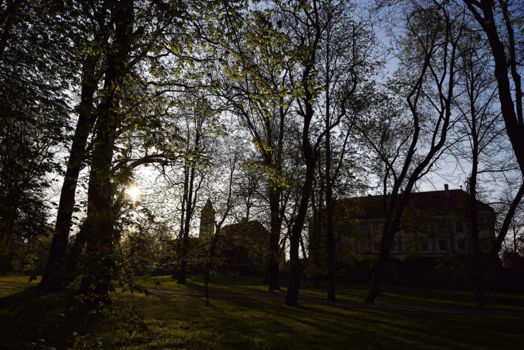 Vjeran Zganec Rogulja/Pixsell