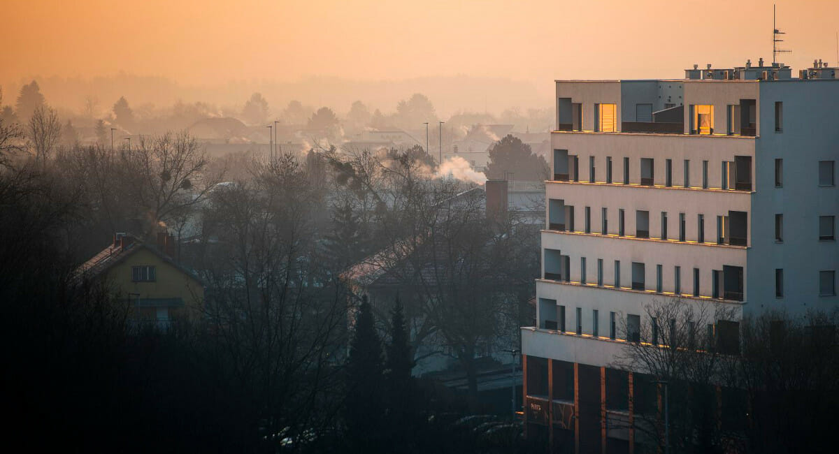 Vjeran Zganec Rogulja/Pixsell