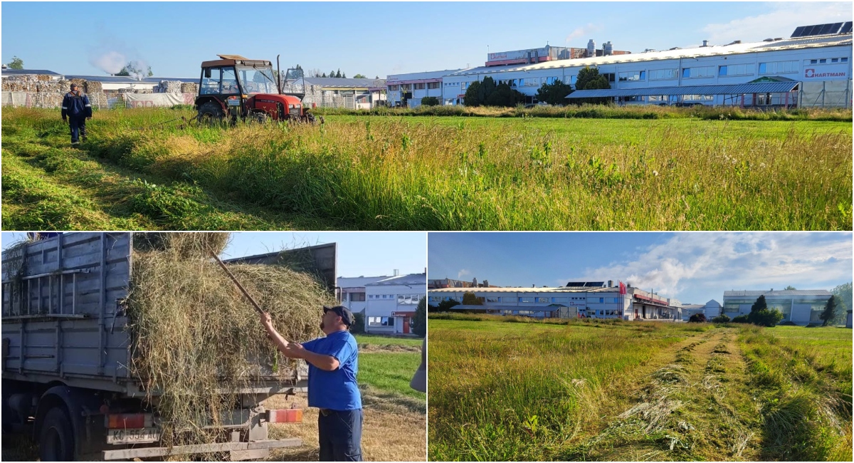 FOTO Hartmann i Komunalac u zajedničkom projektu društveno odgovornog poslovanja FOTO Hartmann i Komunalac u zajedničkom projektu društveno odgovornog poslovanja