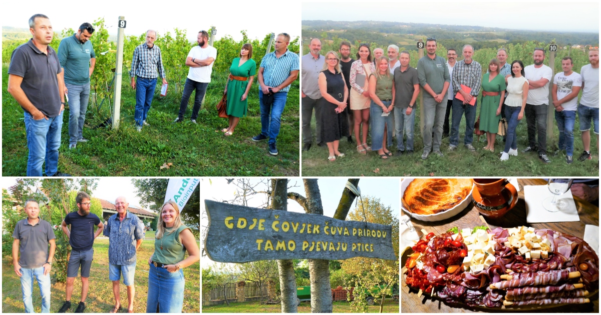 FOTO Lovrecovi iz Svetog Urbana prednjače u proizvodnji sve traženijih eko-vina! FOTO Lovrecovi iz Svetog Urbana prednjače u proizvodnji sve traženijih eko-vina!