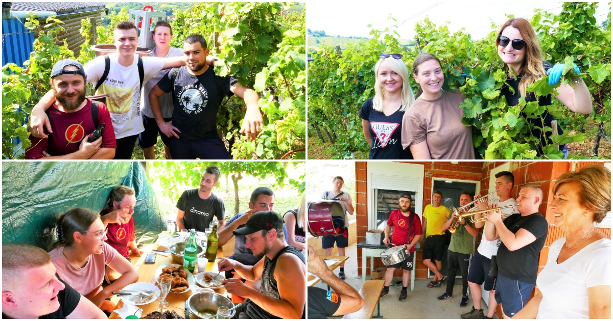 FOTO Trud se isplatio: količina i kvaliteta mošta je iznad očekivanja, pa će takvo biti i vino! FOTO Trud se isplatio: količina i kvaliteta mošta je iznad očekivanja, pa će takvo biti i vino!