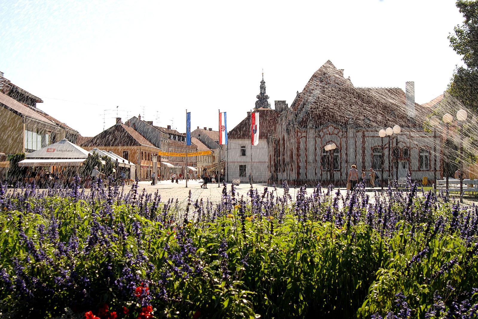 Vjeran Zganec-Rogulja/Pixsell