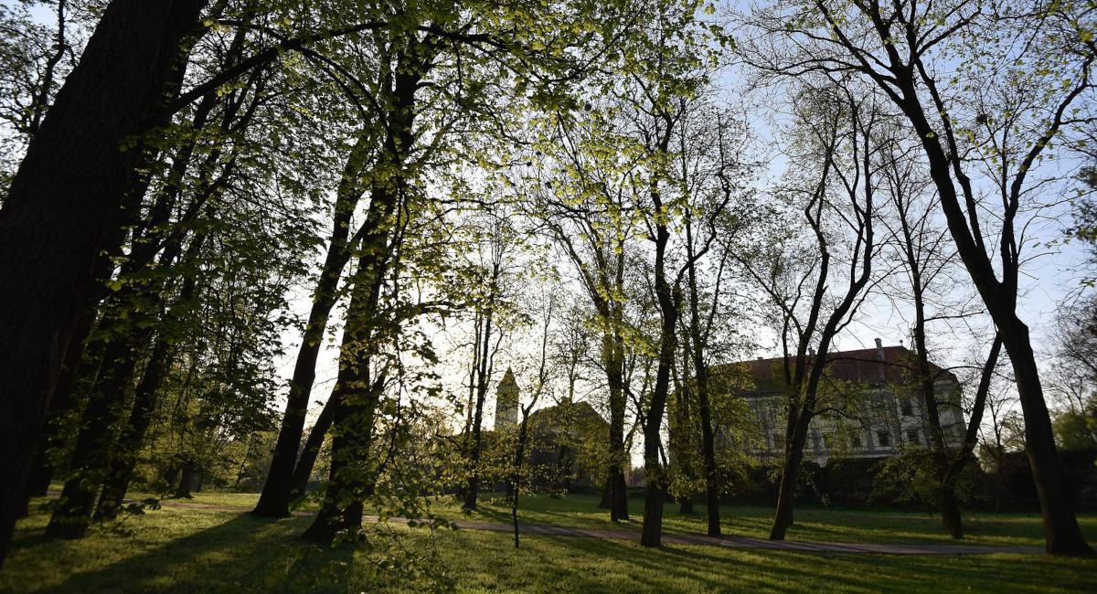 Vjeran Zganec Rogulja/Pixsell