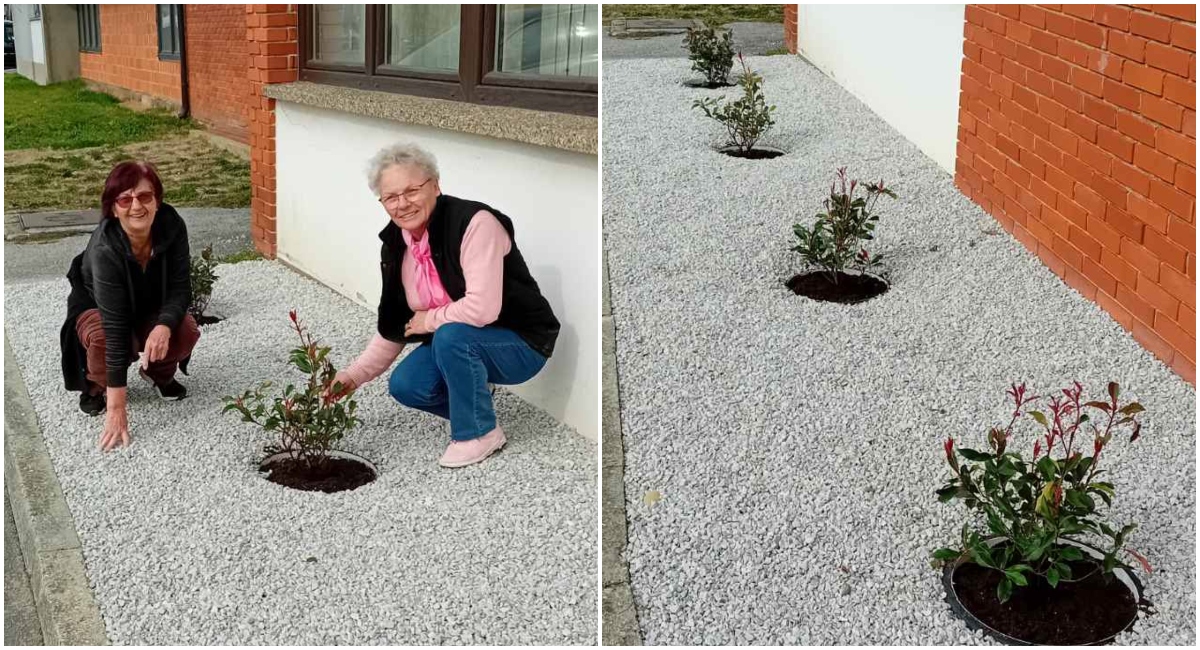 Uzorni okoliš prostora umirovljenika u Svetoj Mariji Uzorni okoliš prostora umirovljenika u Svetoj Mariji