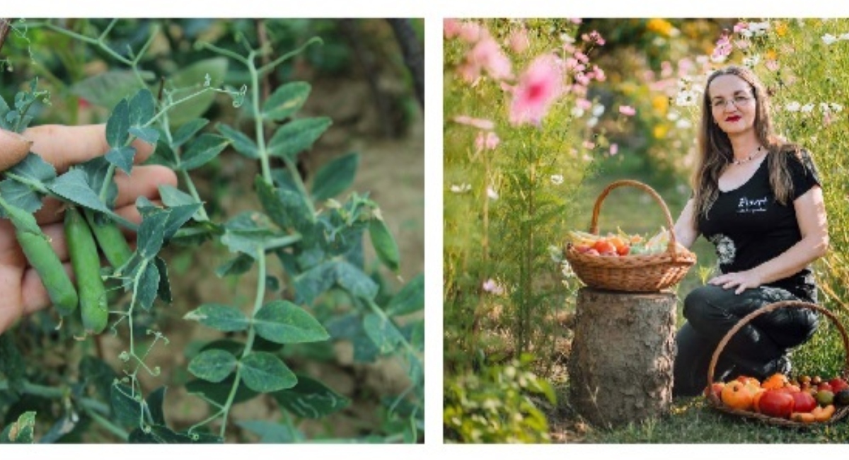 Zanimljivo predavanje i razmjena sjemenja čekaju vas u Štrigovi Zanimljivo predavanje i razmjena sjemenja čekaju vas u Štrigovi