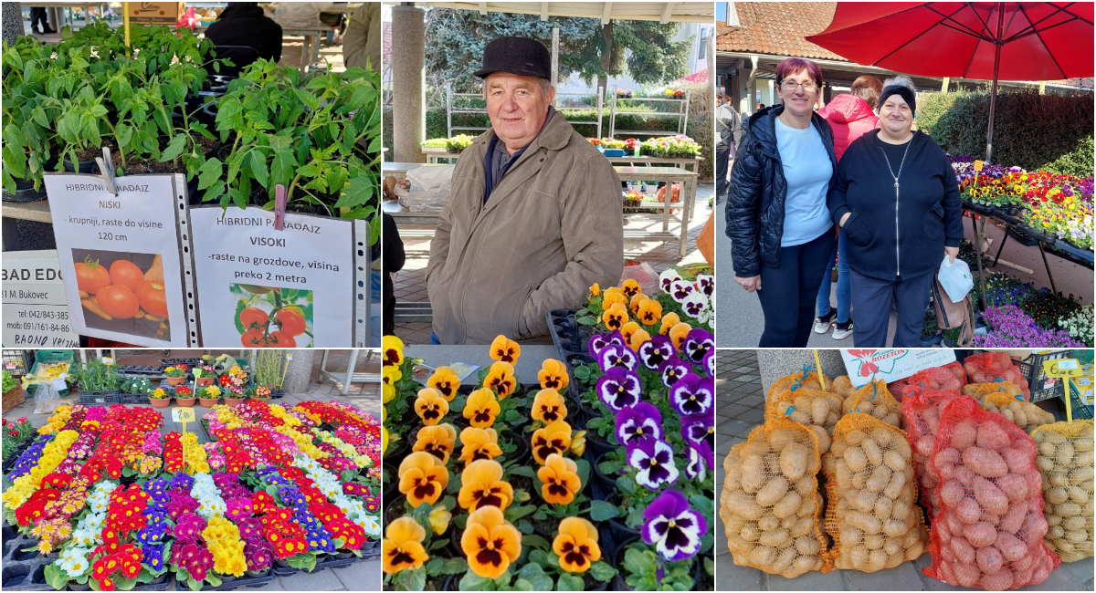 FOTO Tržnica Prelog u proljetnom sjaju: velik izbor cvijeća, ali i sezonskog povrća i prvih presadnica! FOTO Tržnica Prelog u proljetnom sjaju: velik izbor cvijeća, ali i sezonskog povrća i prvih presadnica!