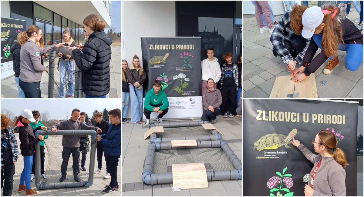 Učenici Srednje škole Čakovec pomogli izraditi prva sunčališta za kornjače Učenici Srednje škole Čakovec pomogli izraditi prva sunčališta za kornjače