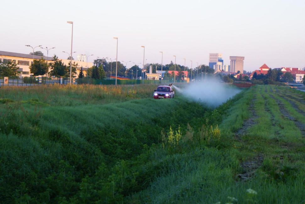 Grad Čakovec kreće s dezinsekcijom komaraca na svom području Grad Čakovec kreće s dezinsekcijom komaraca na svom području
