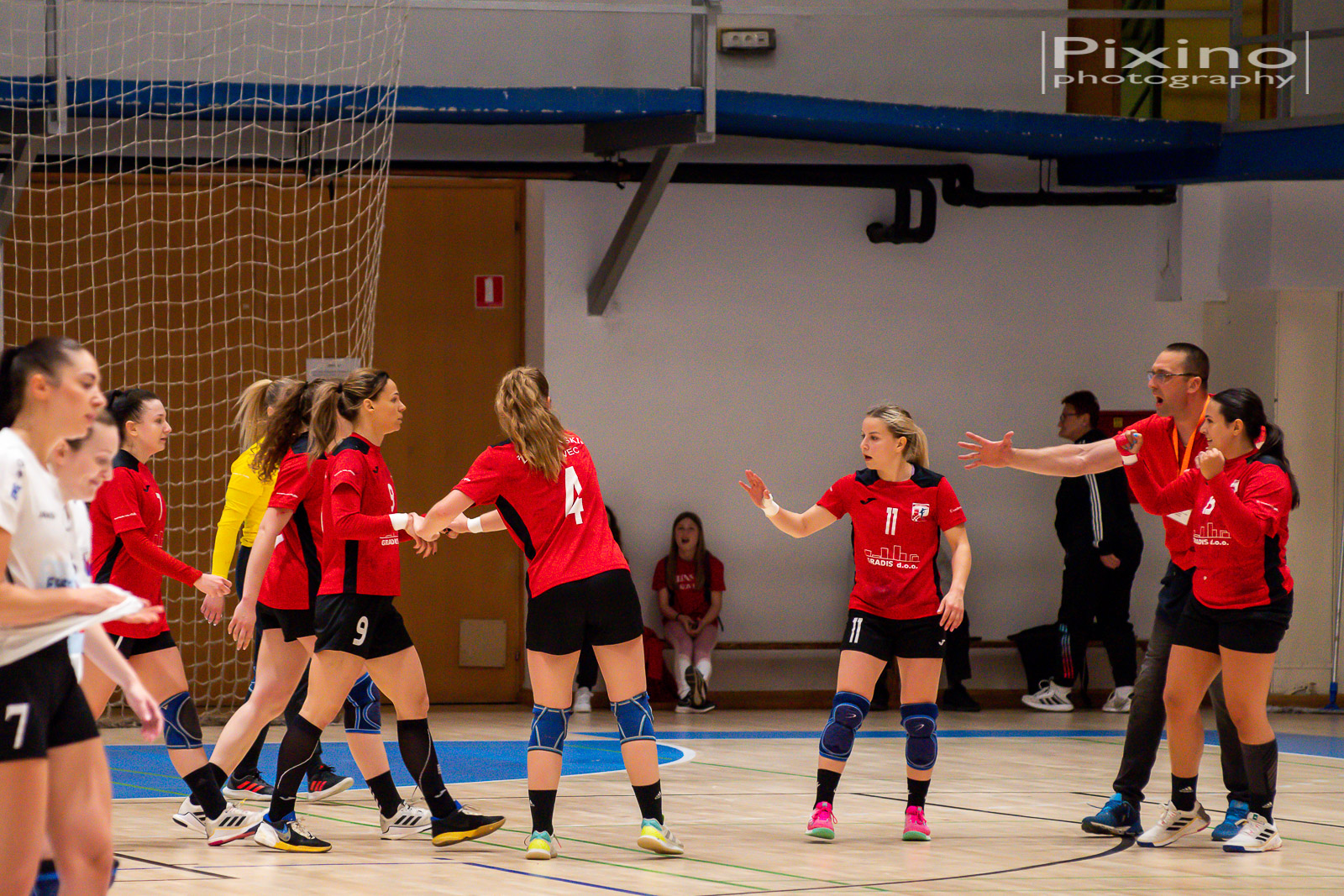 Zrinskice dobile pet novih igračica Zrinskice dobile pet novih igračica