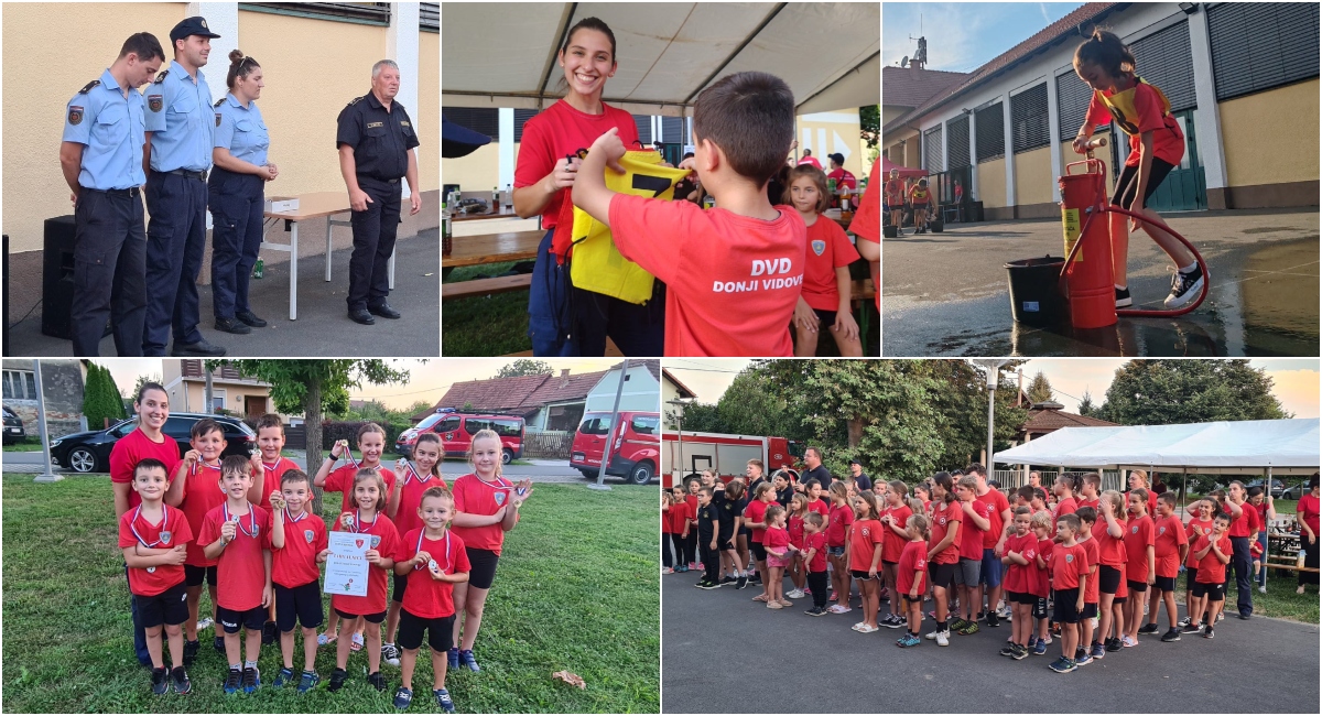 Najmlađi članovi DVD-a Donji Vidovec osvojili treće mjesto! Najmlađi članovi DVD-a Donji Vidovec osvojili treće mjesto!