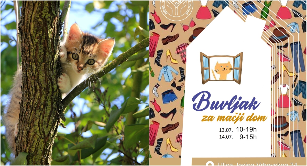 Dođite na ‘Humanitarni buvljak’ u Nedelišće i pomognite da Međimurje dobije sklonište za mačke! Dođite na ‘Humanitarni buvljak’ u Nedelišće i pomognite da Međimurje dobije sklonište za mačke!