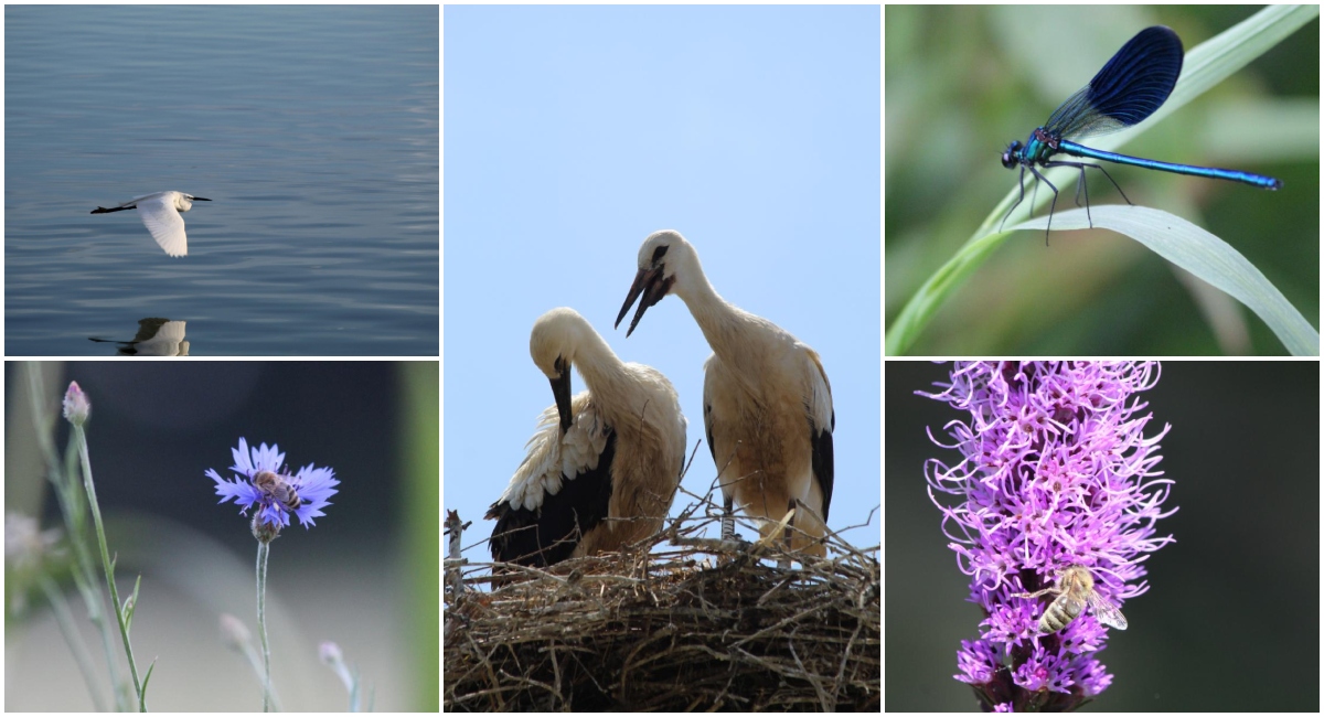FOTO Priroda u njenom sjaju FOTO Priroda u njenom sjaju