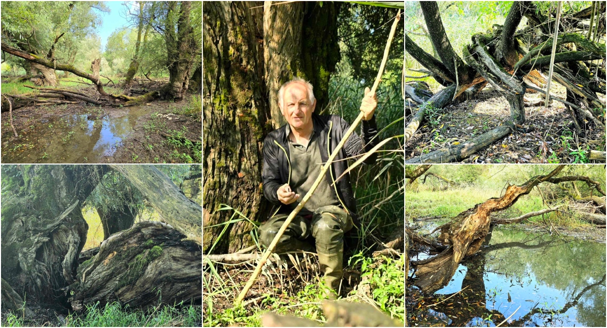 FOTO Zvonimir Habuš prošetao je istočnim kutkom Međimurja FOTO Zvonimir Habuš prošetao je istočnim kutkom Međimurja