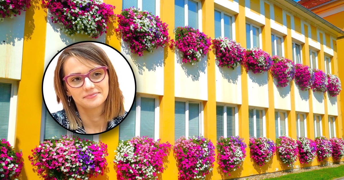 FOTO Prekrasne surfinije na prozorima zgrade Županije čine Čakovec ljepšim i ponosnijim! FOTO Prekrasne surfinije na prozorima zgrade Županije čine Čakovec ljepšim i ponosnijim!