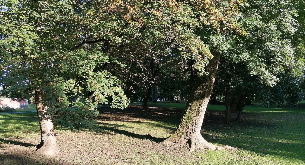 Porcijunkulovo 2024. suočeno s izazovima lošeg vremena Porcijunkulovo 2024. suočeno s izazovima lošeg vremena