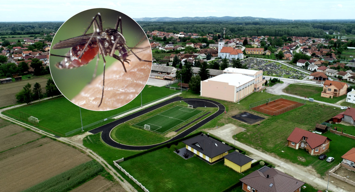 Na području Općine Podturen će 25. i 26. srpnja biti tretirani komarci Na području Općine Podturen će 25. i 26. srpnja biti tretirani komarci