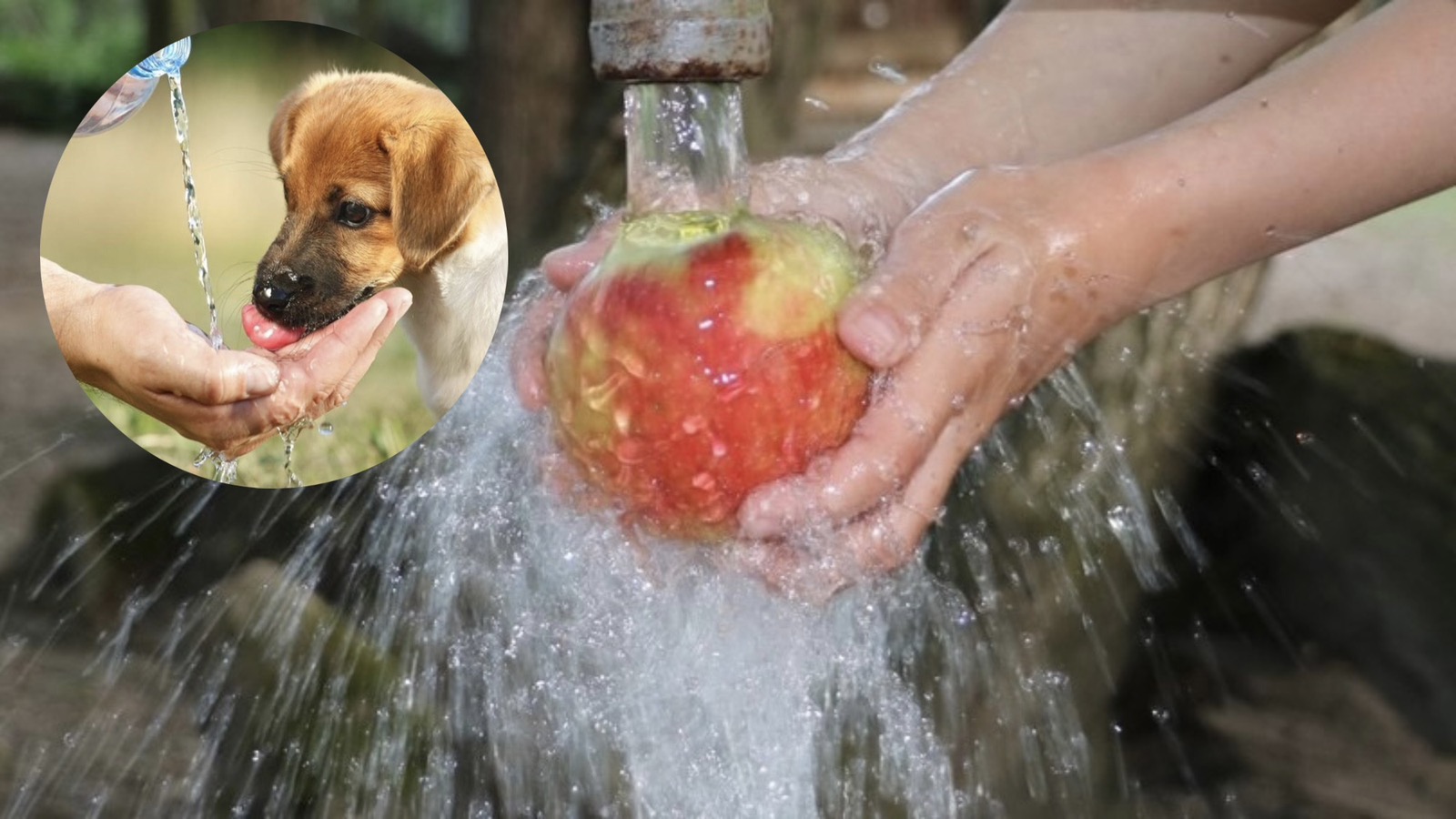 Vršna potrošnja vode u Međimurju je od 17 do 22 sata! Hoće li biti restrikcija? Vršna potrošnja vode u Međimurju je od 17 do 22 sata! Hoće li biti restrikcija?